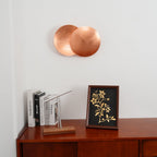 Kirelyn Steel Wall Light-Moonnatur