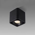 Havora Steel Spotlight-Moonnatur