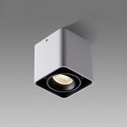 Havora Steel Spotlight-Moonnatur