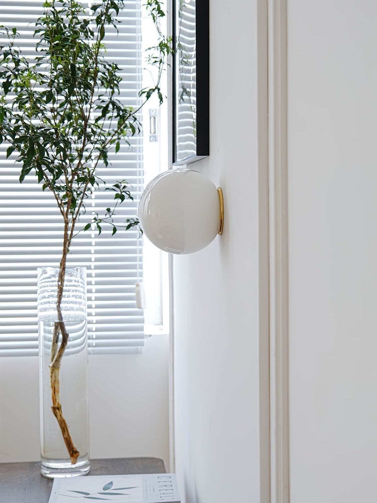 Hazelera Glass Wall Light-Moonnatur