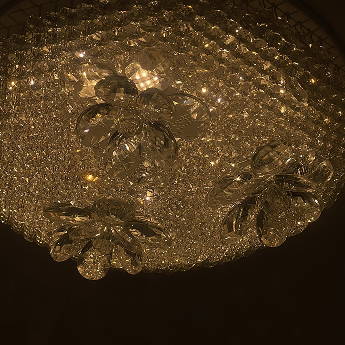 Brackune Crystal Pendant Light-Moonnatur