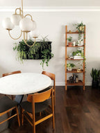 Aldenera Glass Chandelier-Moonnatur