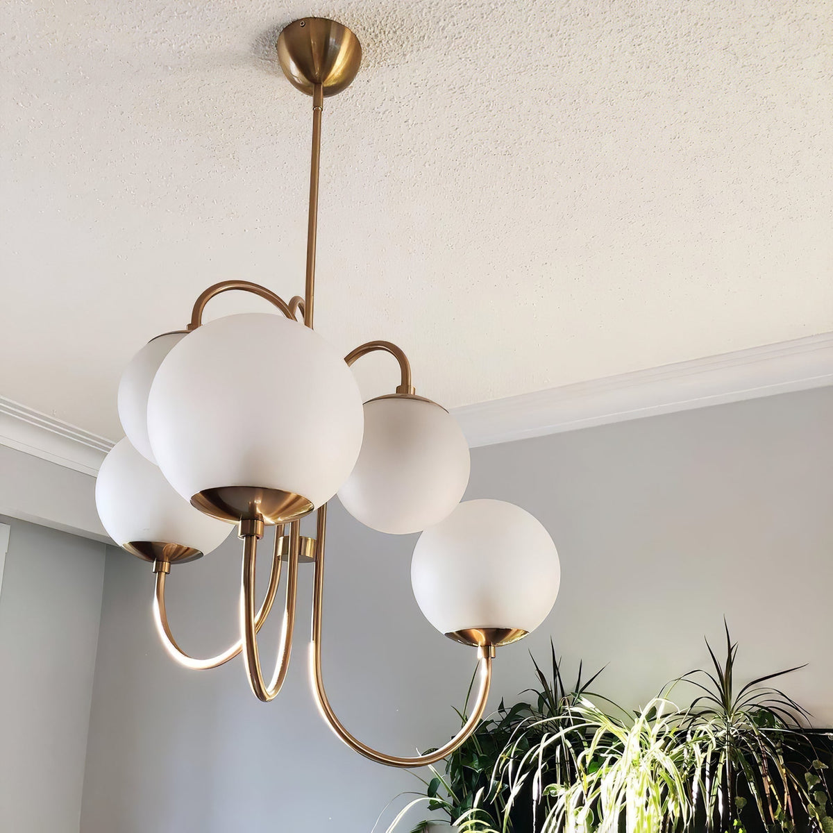 Aldenera Glass Chandelier-Moonnatur