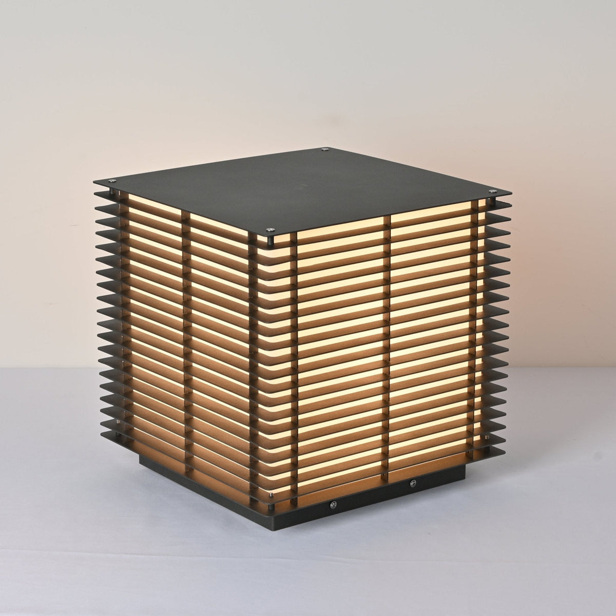 Beldenholm Stainless Steel Outdoor Light-Moonnatur