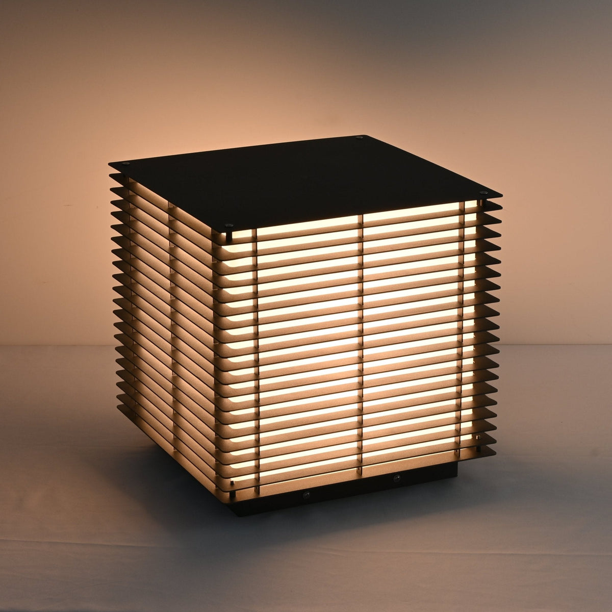 Beldenholm Stainless Steel Outdoor Light-Moonnatur