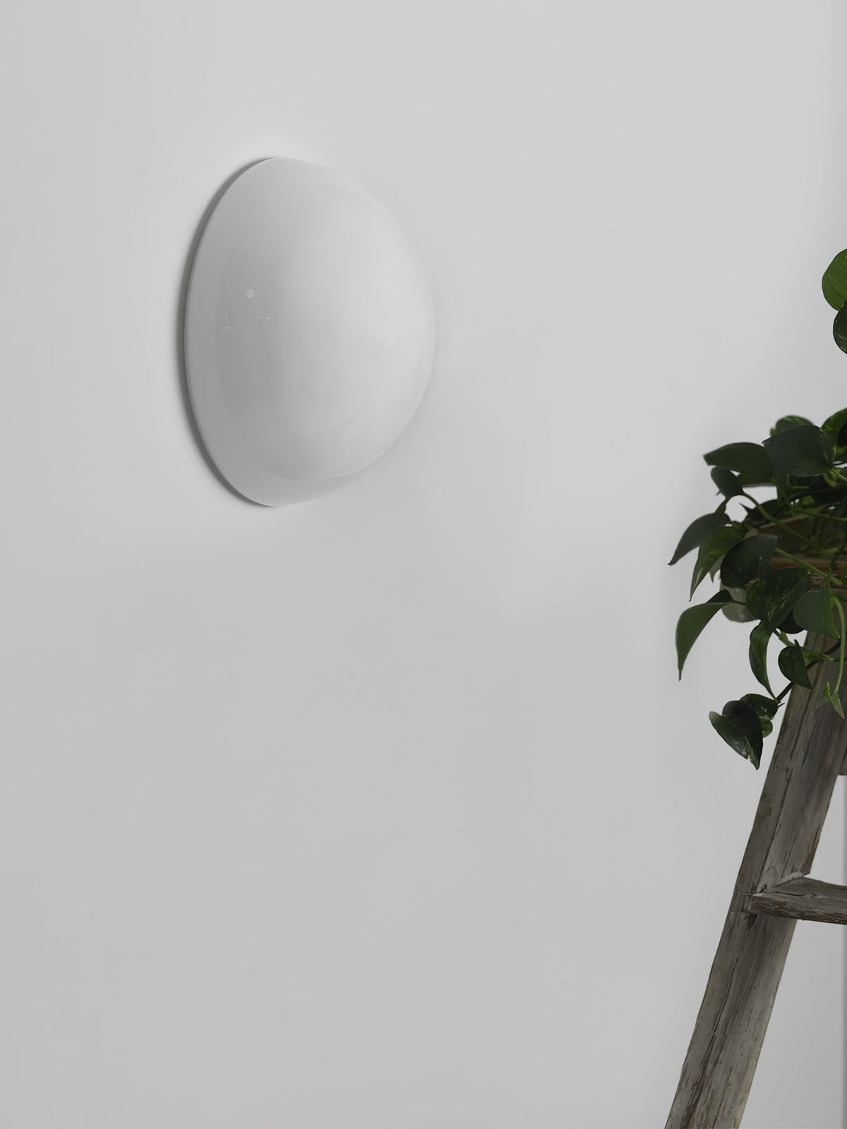 Larkwyn Glass Wall Light-Moonnatur