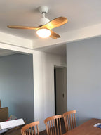 Treveniel Wood Ceiling Fan-Moonnatur