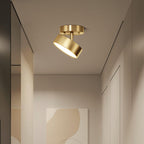 Florune Brass Ceiling Light-Moonnatur