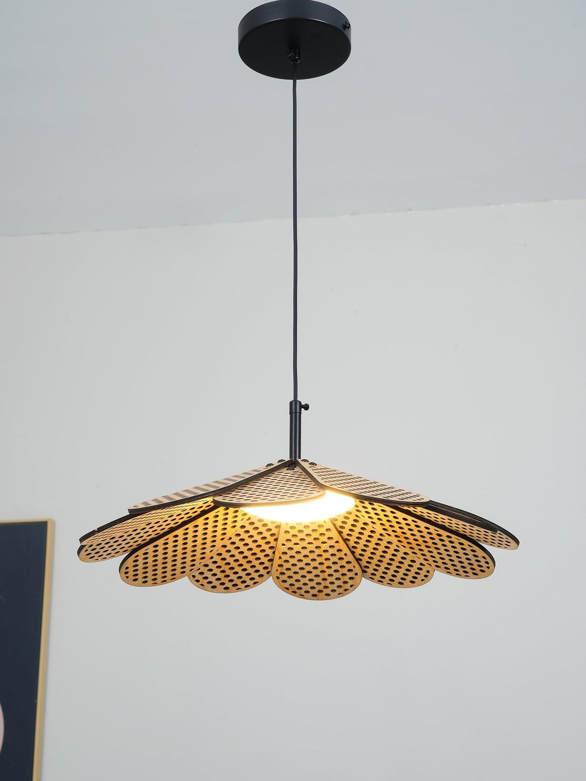 Helrenina Wood Pendant Light-Moonnatur