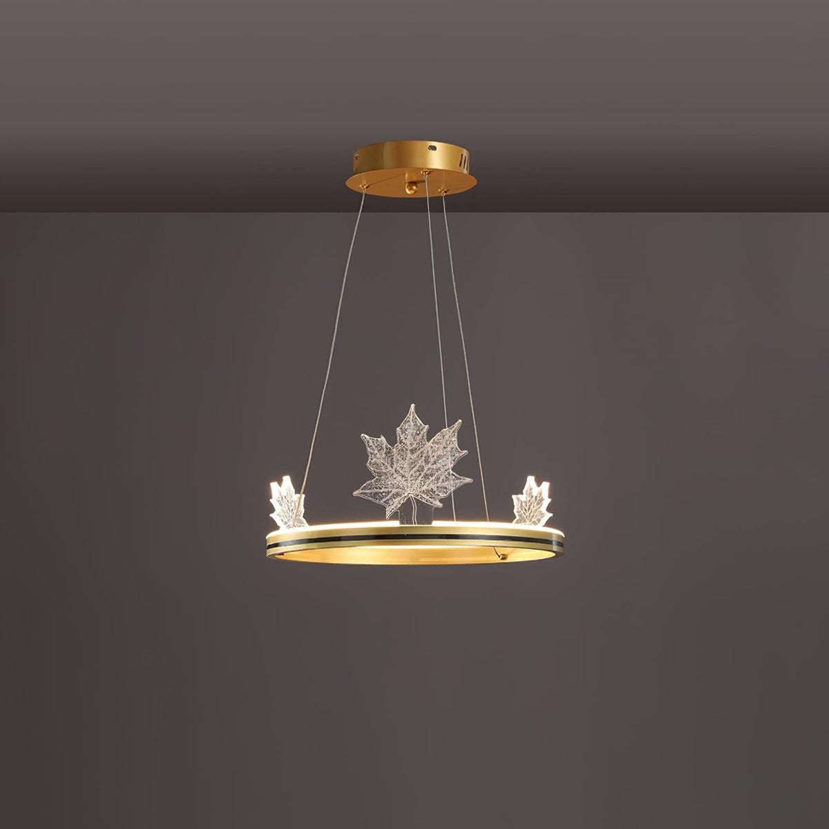 Oakenrose Acrylic Chandelier-Moonnatur