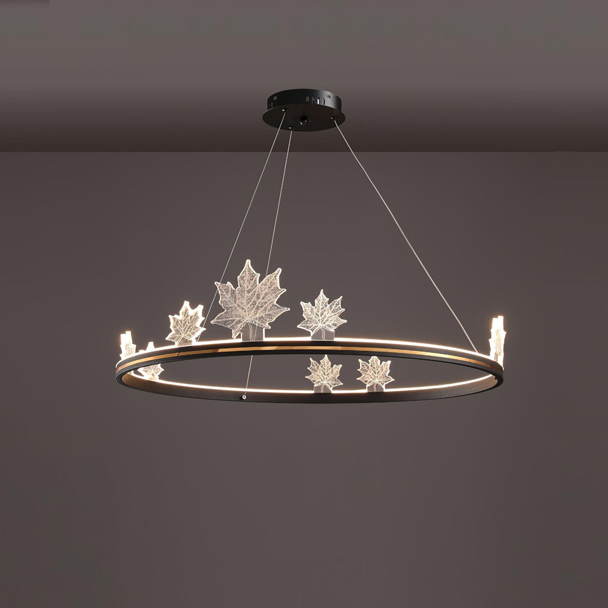 Oakenrose Acrylic Chandelier-Moonnatur
