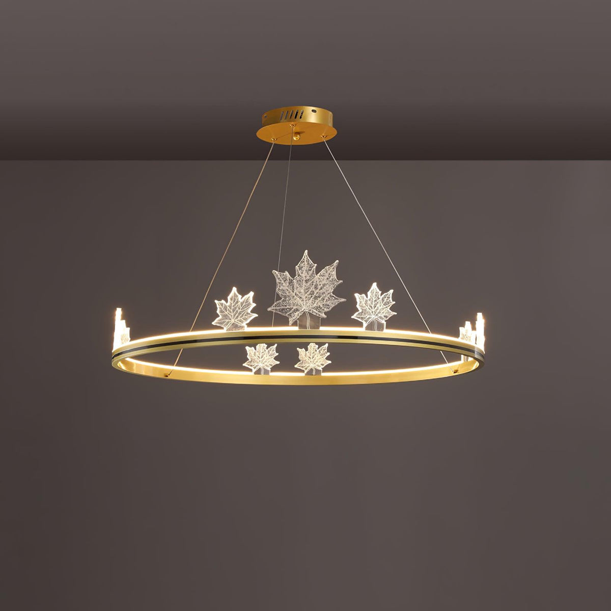Oakenrose Acrylic Chandelier-Moonnatur