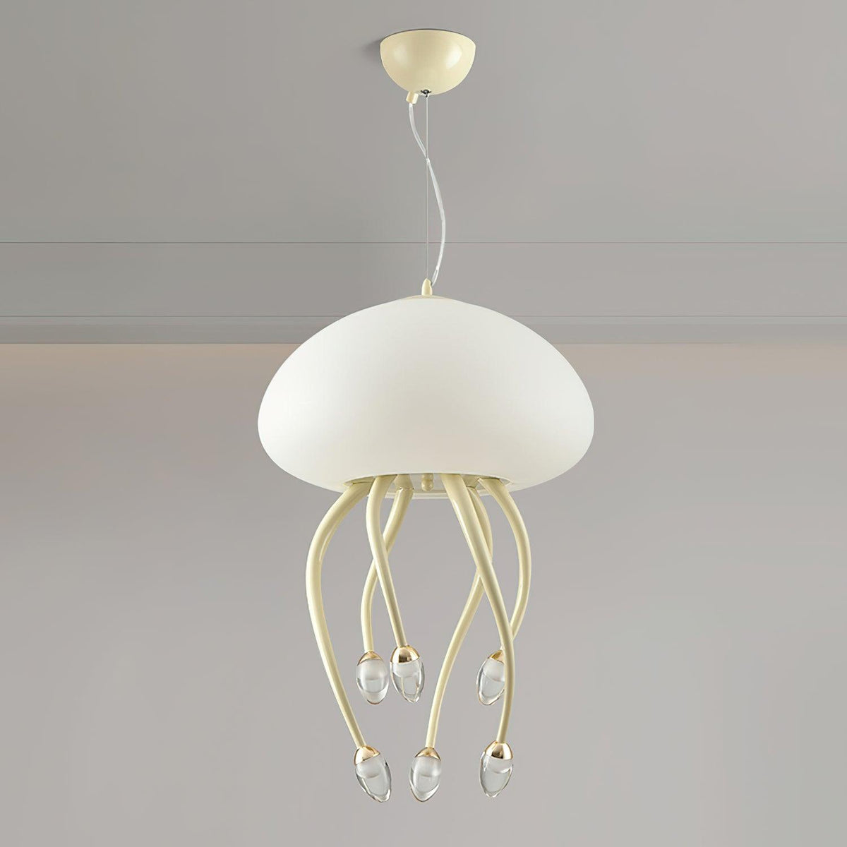Olvenelle Acrylic Pendant Light-Moonnatur