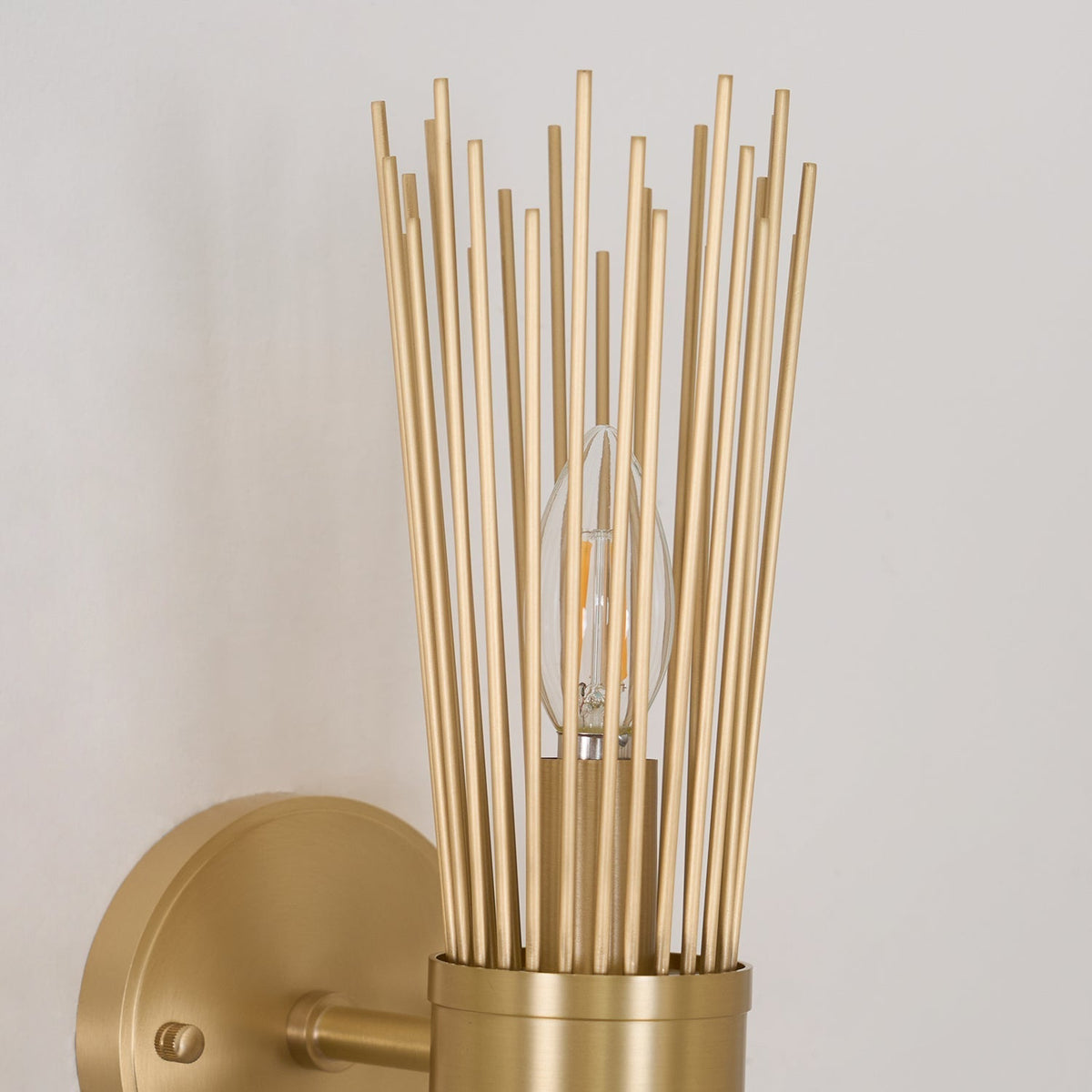 Orlena Brass Wall Lamp-Moonnatur