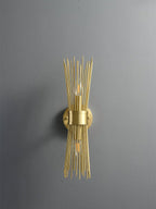 Orlena Brass Wall Lamp-Moonnatur