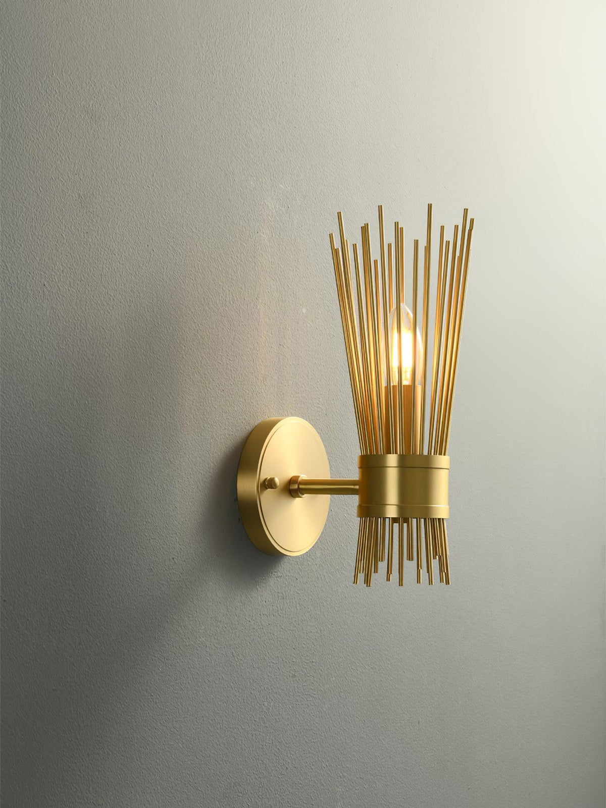 Orlena Brass Wall Lamp-Moonnatur
