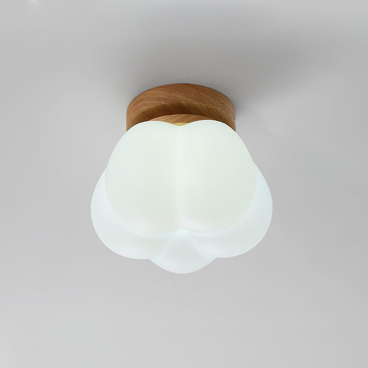 Silvenelle Acrylic Ceiling Light-Moonnatur