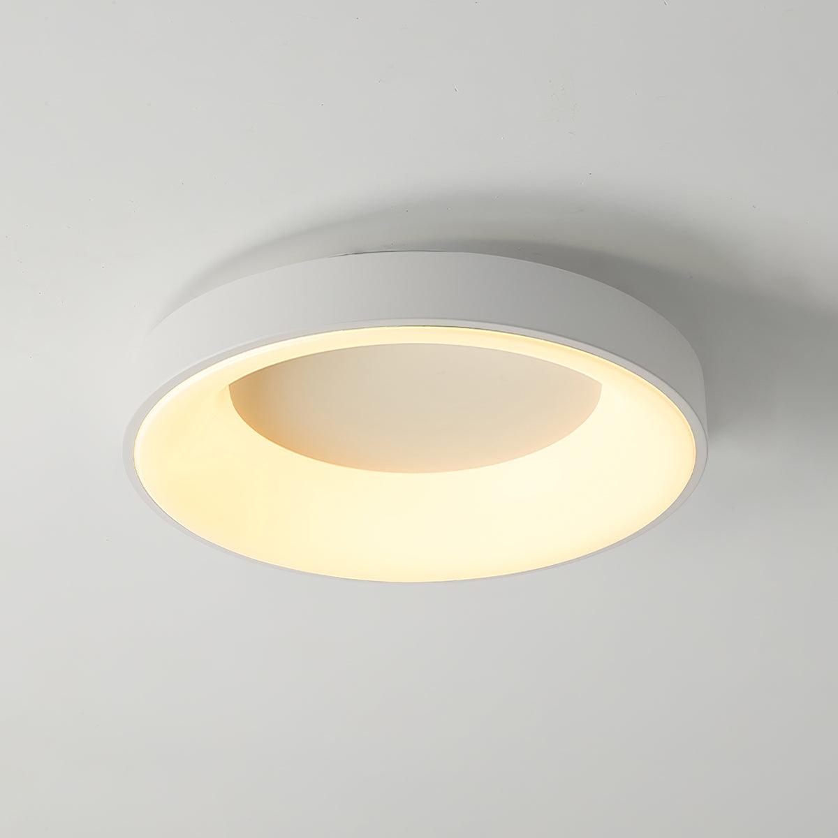 Gadrora Acrylic Ceiling Light-Moonnatur