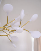 Laelella Acrylic Chandelier-Moonnatur