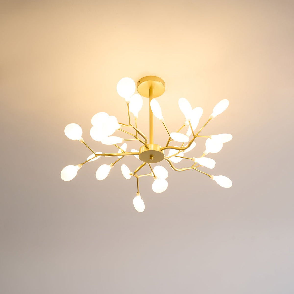 Laelella Acrylic Chandelier-Moonnatur