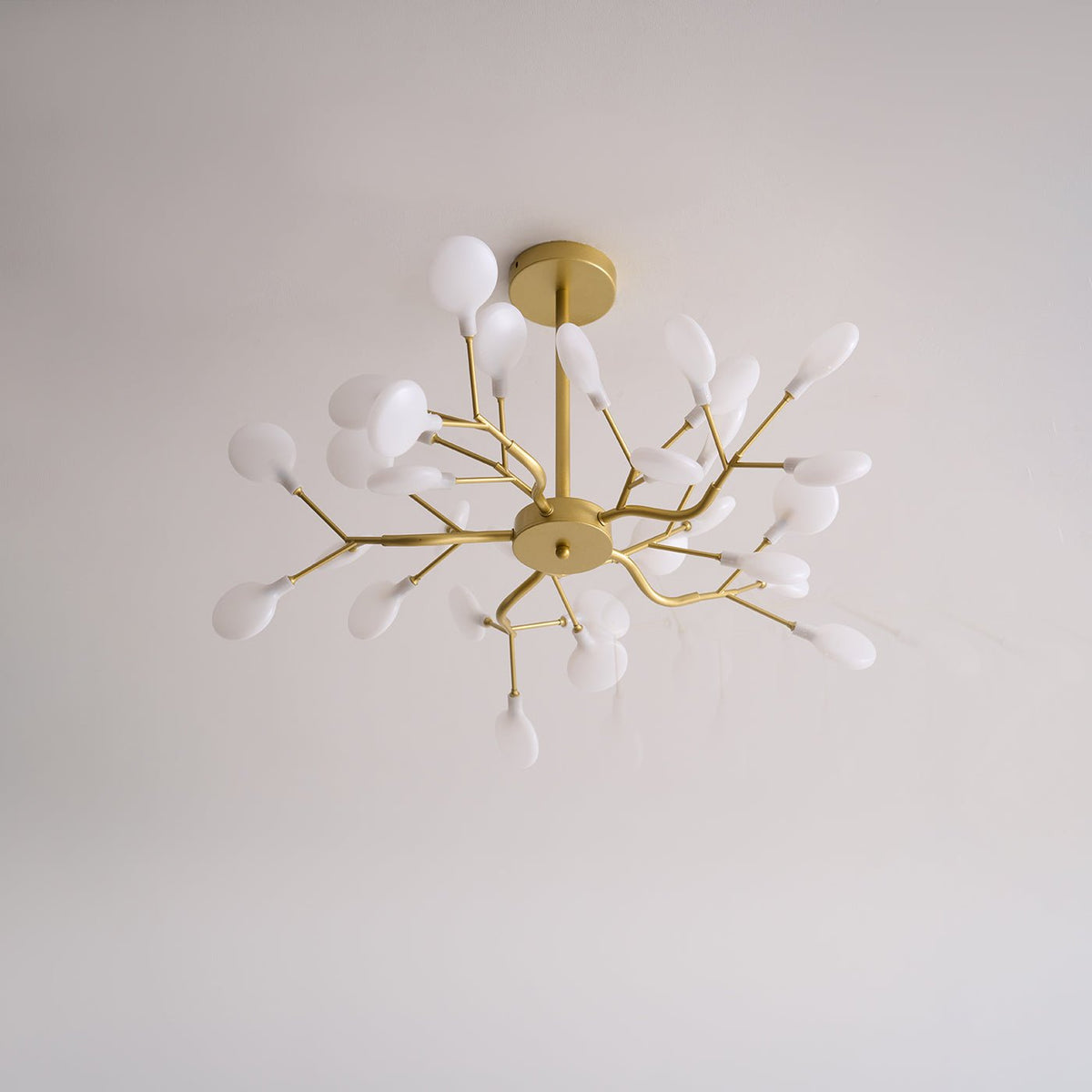 Laelella Acrylic Chandelier-Moonnatur