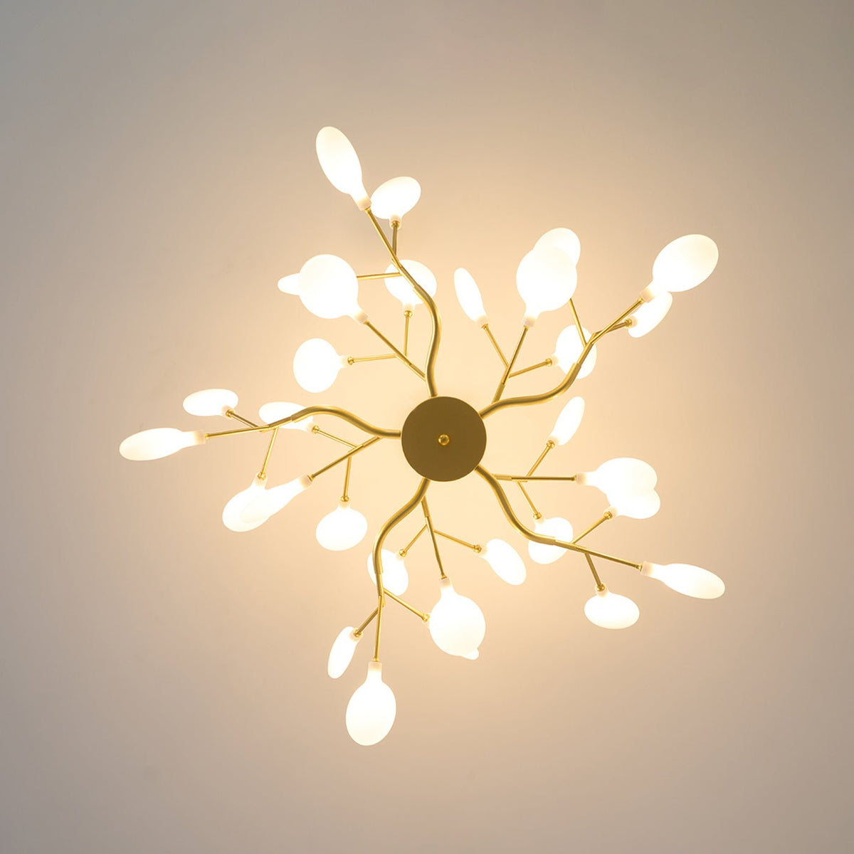 Laelella Acrylic Chandelier-Moonnatur