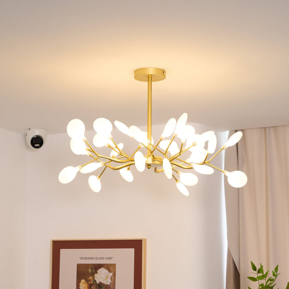 Laelella Acrylic Chandelier-Moonnatur