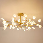 Laelella Acrylic Chandelier-Moonnatur