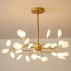 Laelella Acrylic Chandelier-Moonnatur