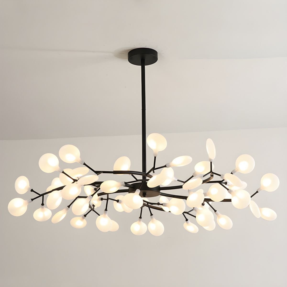 Laelella Acrylic Chandelier-Moonnatur