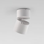 Perenara Aluminium Spotlight-Moonnatur