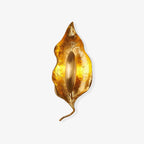 Vardeneth Brass Wall Light-Moonnatur