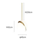 Olivra Acrylic Pendant Lamp-Moonnatur
