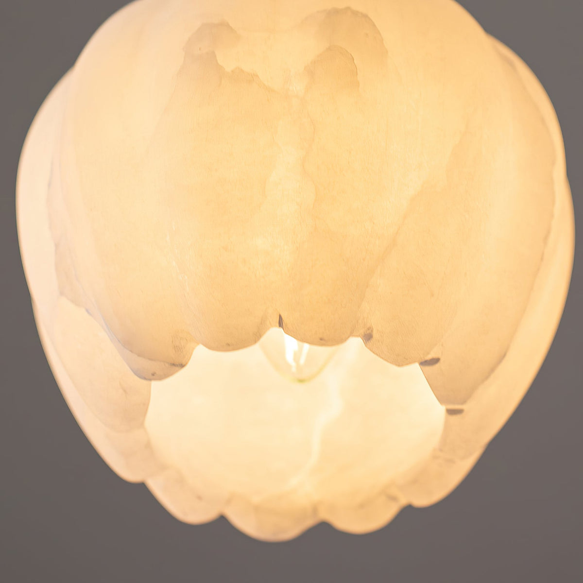 Garnelenora Alabaster Pendant Light-Moonnatur