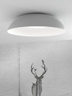 Pervane Aluminium Ceiling Lamp-Moonnatur