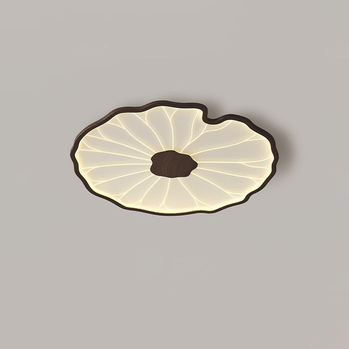 Poreven Metal Ceiling Lamp-Moonnatur