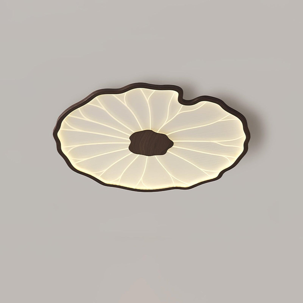 Poreven Metal Ceiling Lamp-Moonnatur