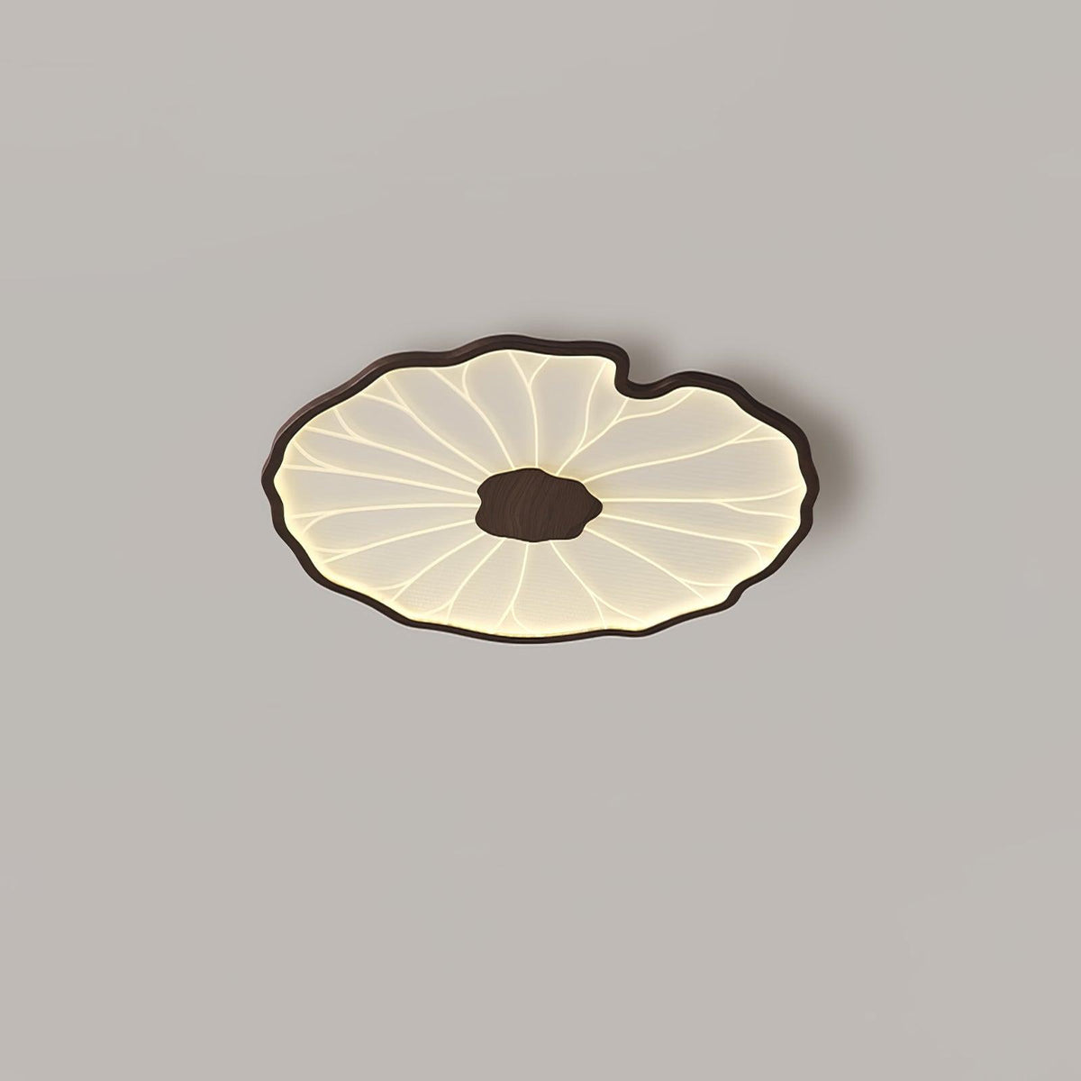 Poreven Metal Ceiling Lamp-Moonnatur