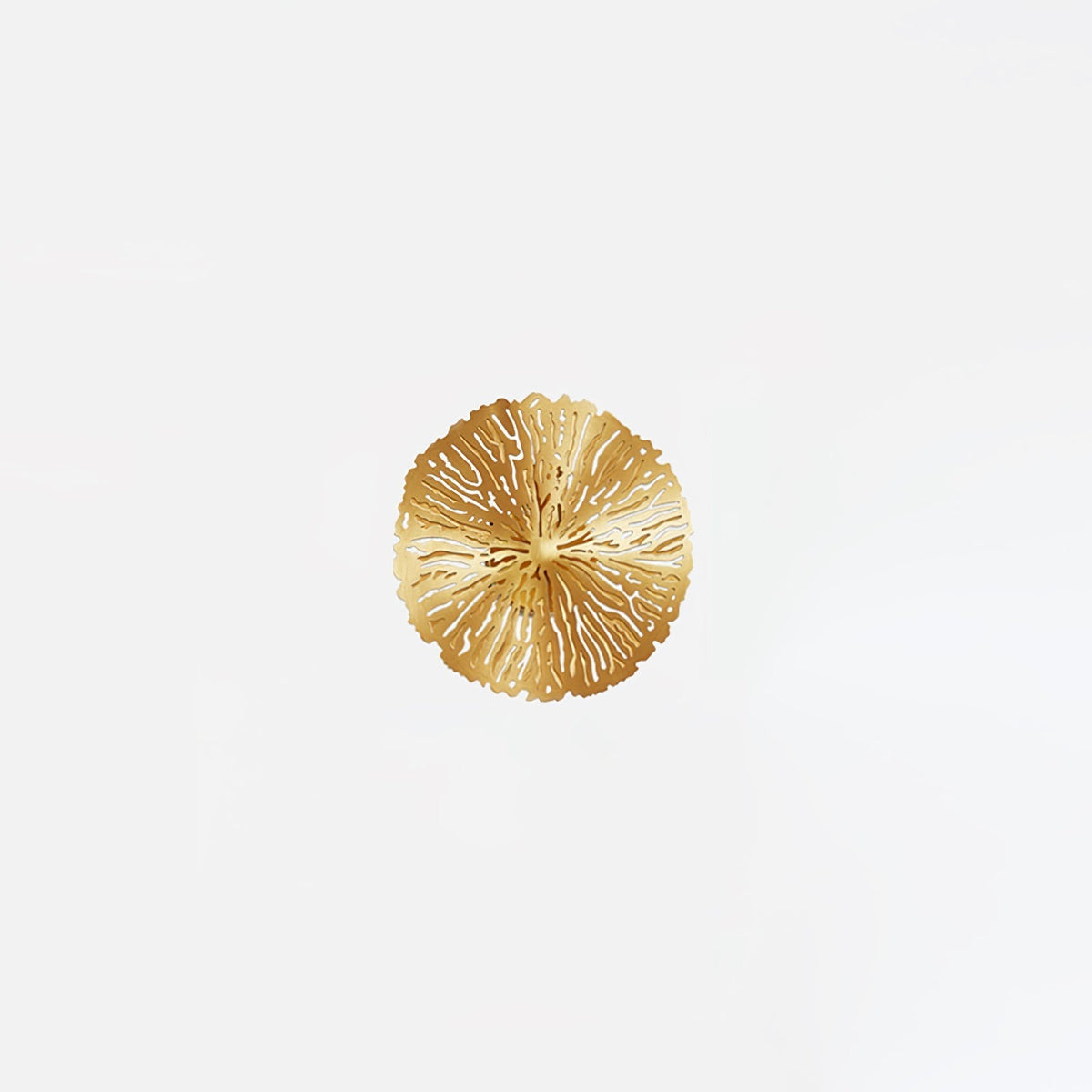 Perrinaria Stainless Steel Wall Light-Moonnatur