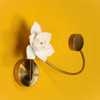 Kiranina Cotton Paper Wall Light-Moonnatur