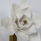 Kiranina Cotton Paper Wall Light-Moonnatur