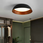 Zareniel Acrylic Ceiling Light-Moonnatur