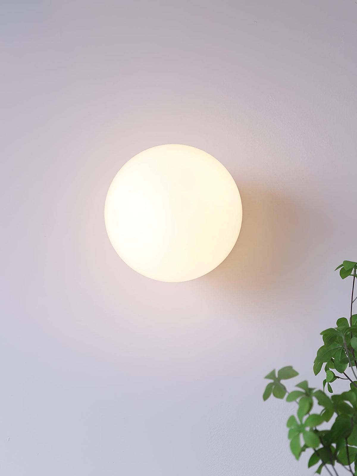 Galenora Glass Wall Light-Moonnatur