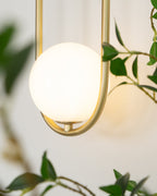 Fadrina Glass Wall Light-Moonnatur