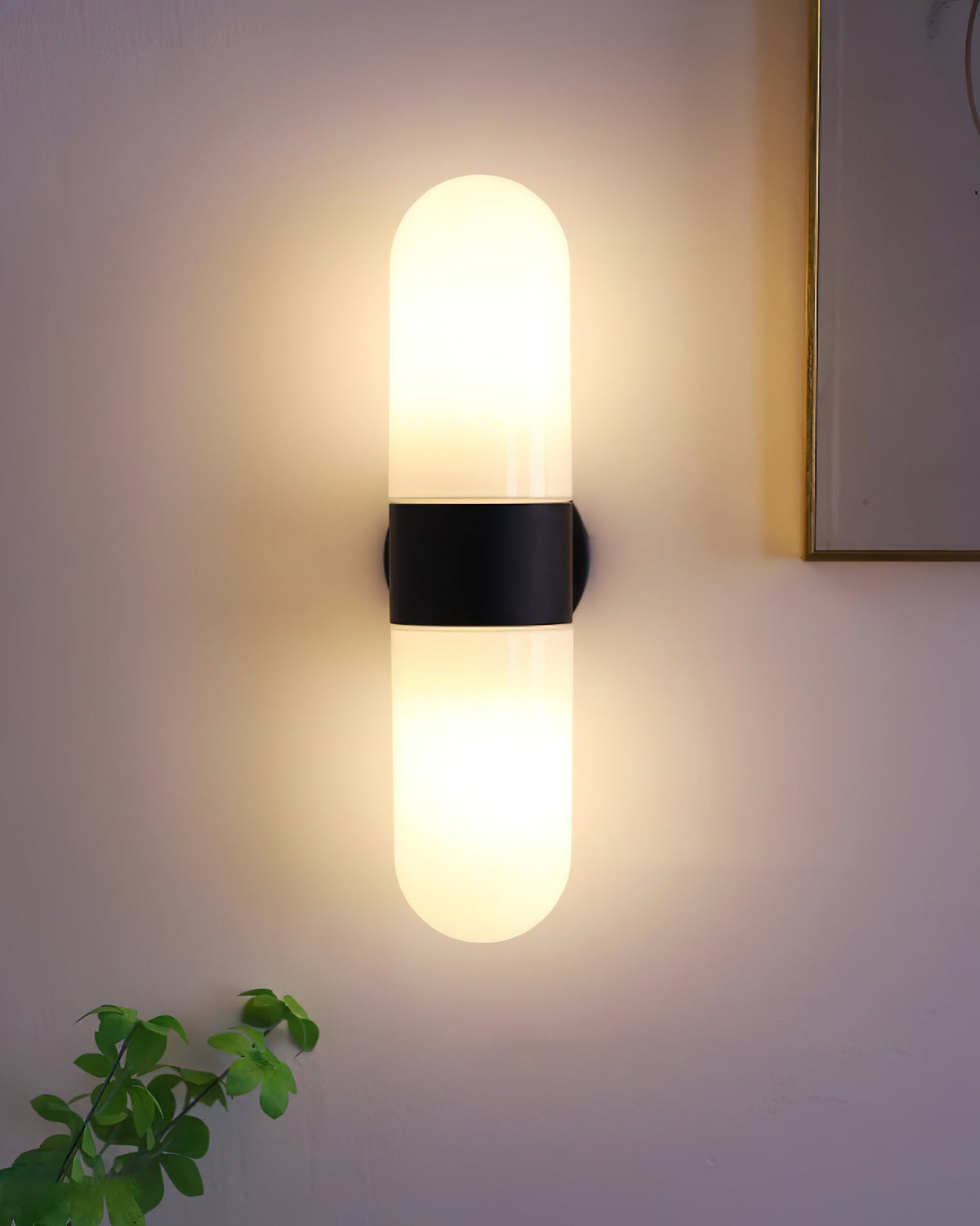 Ashengrove Glass Wall Light-Moonnatur