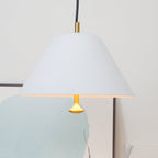 Brinavelle Acrylic Pendant Light-Moonnatur
