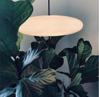 Serenis Plastic Pendant Light-Moonnatur