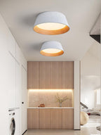 Jalisse Acrylic Ceiling Light-Moonnatur