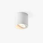 Vardenlyn Aluminium Ceiling Light-Moonnatur