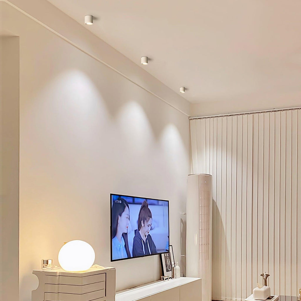 Vardenlyn Aluminium Ceiling Light-Moonnatur